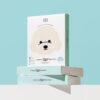 Product image_Bear Belly Patch 30ml_01